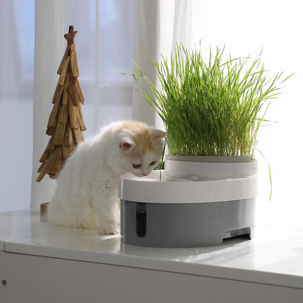 modern cat water fountain