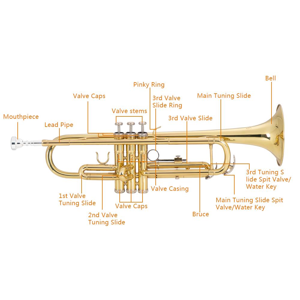 Trumpet Reference Trumpet Diagram With Labels