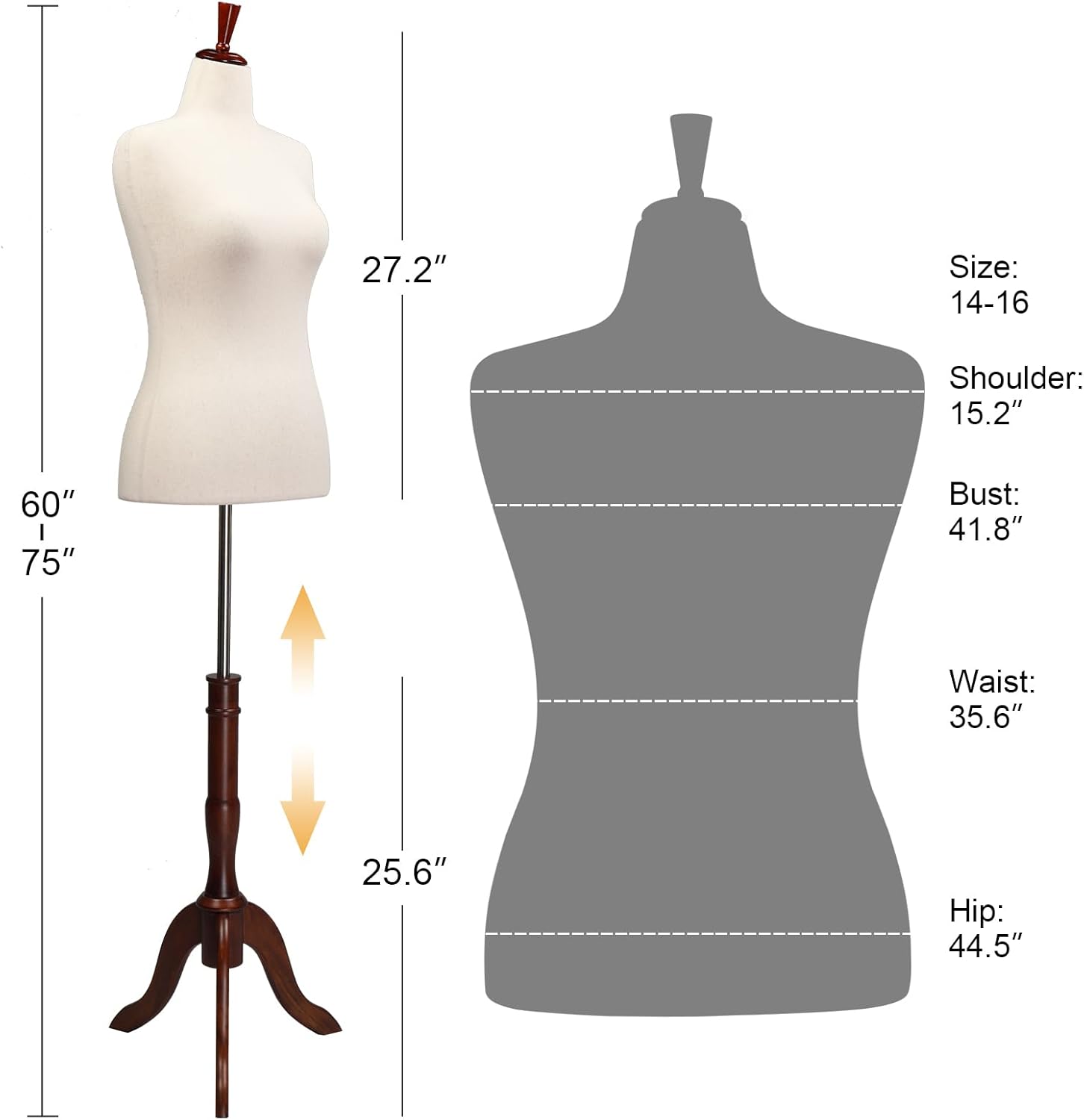 Female Dress Form Size (14-16), Adjustable Height Torso Body with
