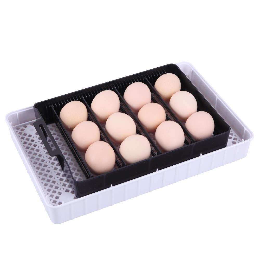 12 Digital Egg Incubator Chicken Hatcher Automatic Turning ...
