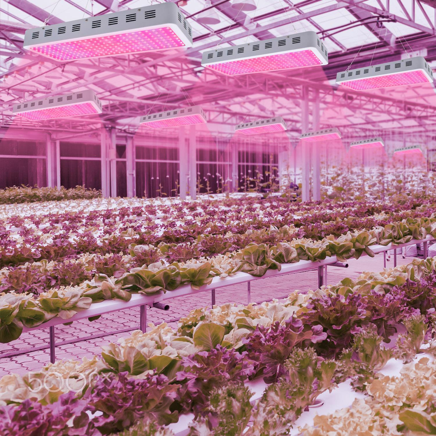 3000W Full Spectrum Dual Chips LED Grow Light Fixture Red ...