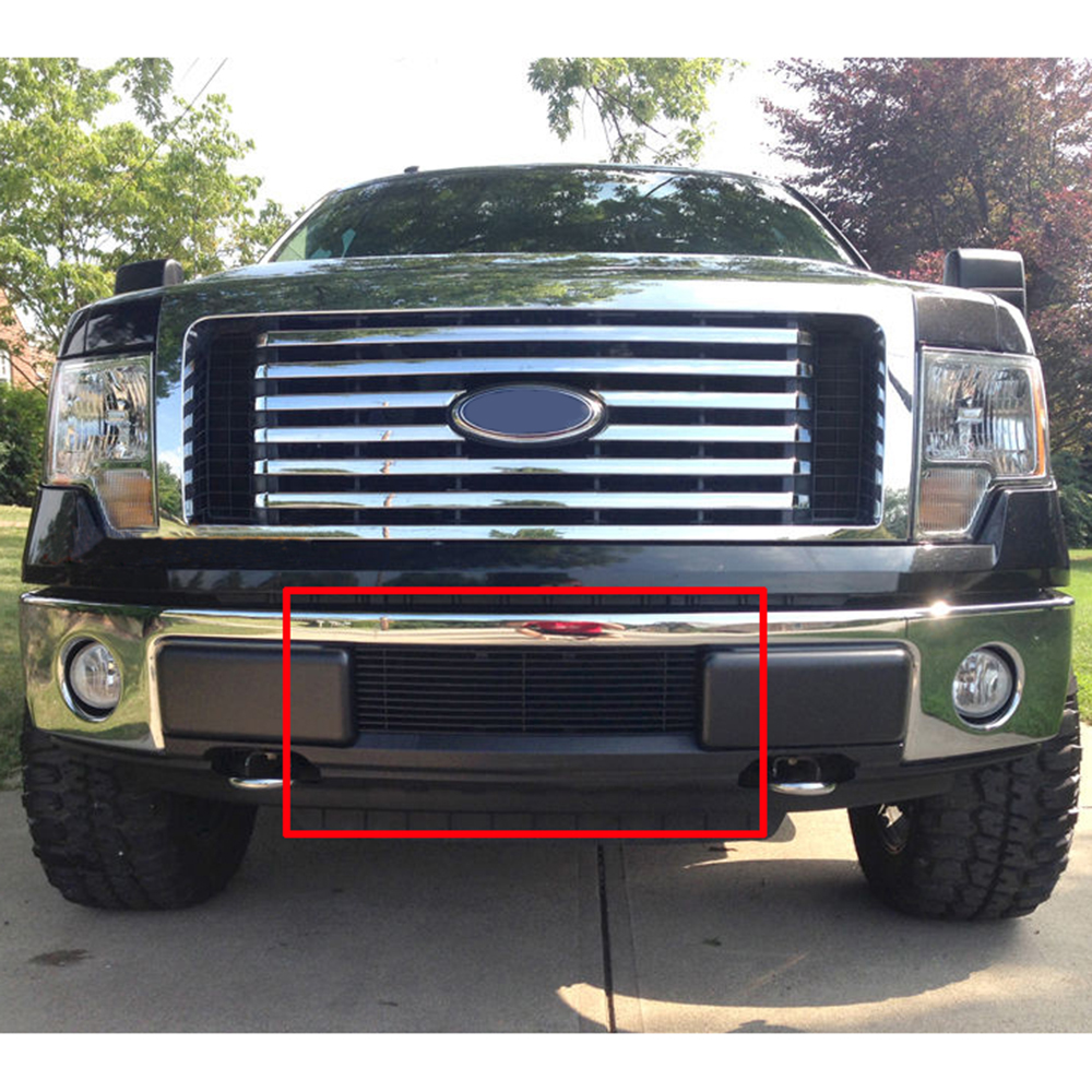 APS for 2018-2019 Ford F-150 Lower Bumper Black Grille Insert #N19-H10466F